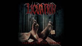 Miniatura del video "LICUATION - PRIMITIVE END"