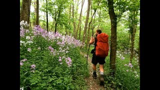 White Blaze - The Appalachian Trail Angels (2015)