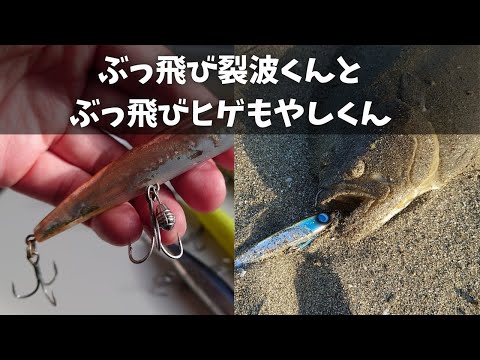 2026年最新｜サーフ用ミノープラグを各メーカーごとに網羅！ニーナ120S