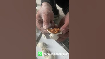 Best Dumpling Making Equipment Empanada Dumpling Maker