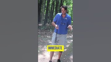 When your dog goes out of sit position do this!!! #ecollar #ecollars #ecollartips #ecollaradvice #ec