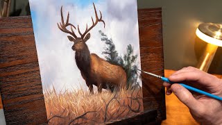 Oil Painting Step by Step - Rocky Mountain Elk Study