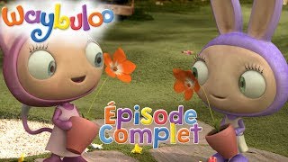 Waybuloo Les Souris Épisode Complet Zeekay Junior Français
