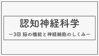 認知神経科学2020 03ー脳の機能と神経細胞のしくみー