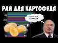 Чемпионы по выращиванию картофеля с 1 гектара | Урожайность картофеля в странах мира