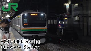 Shōnan–Shinjuku Line | JR East E231-1000 Series at Odawara Station
