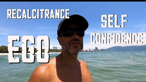 Recalcitrance Ego and Self confidence