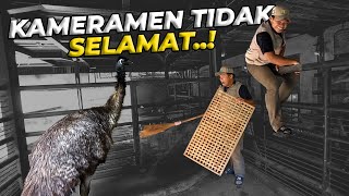 Download Lagu GIMANA NASIBNYA KALO KEEPER GAK ADA DAN PARA HEWAN DIURUS OLEH KAMERAMEN..! MP3 Download Lagu GIMANA NASIBNYA KALO KEEPER GAK ADA DAN PARA HEWAN DIURUS OLEH KAMERAMEN..! MP3