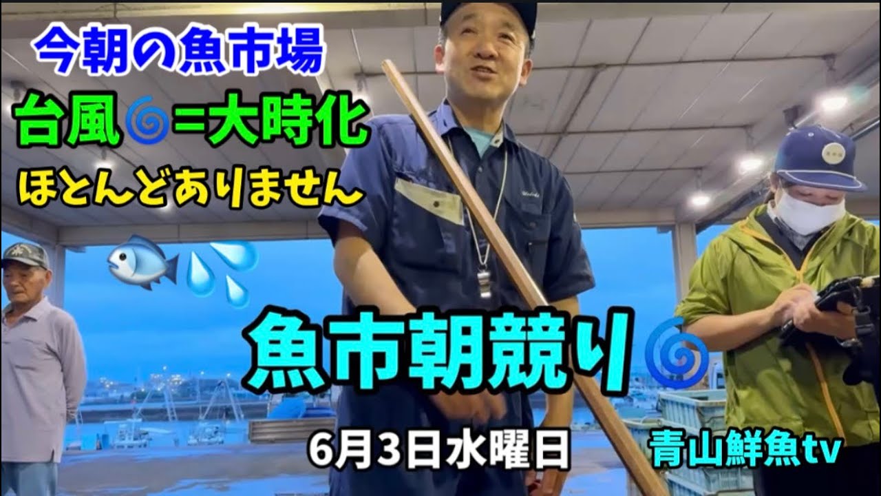 さかなです Typhoon = Rough Seas] Fish Market Catch Report for Wednesday, June