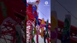 Japan Children's Day celebration  looks like
