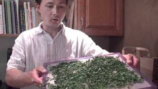 How to Dry Moringa and Make Green Powder  A New Raw Super Food