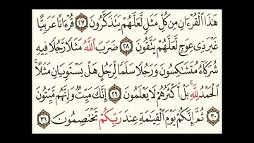 سورة الزمر ٢٨الى٣١#سورةالفاتحة #المصحف #سورةالكوثر #لايك #سورةالاخلاص #الرحمن #تيك_توك #ترند #الظروف