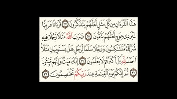 سورة الزمر ٢٨الى٣١#سورةالفاتحة #المصحف #سورةالكوثر #لايك #سورةالاخلاص #الرحمن #تيك_توك #ترند #الظروف