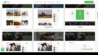 Jasy - Horses and Stables WordPress Theme riding school stables yard Easy Create Website screenshot 2