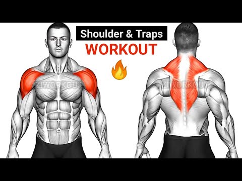 8 Best Trap Workouts For All Levels & Different Equipment – Fitbod