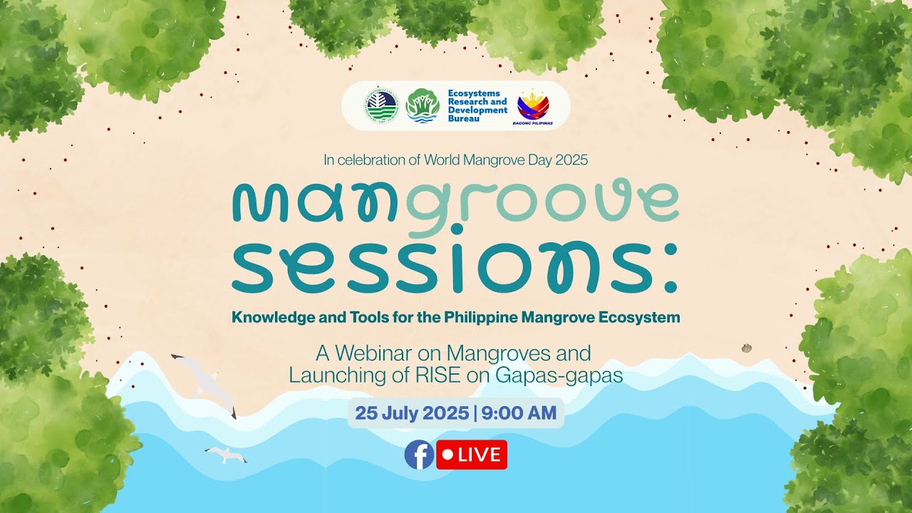 ManGroove Sessions: Knowledge and Tools for the Philippine Mangrove Ecosystem