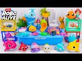 Ultimate Unboxing Zuru Robo Swimming Pool With Axolotl, Turtle and Fish 🐊 Review Toy
