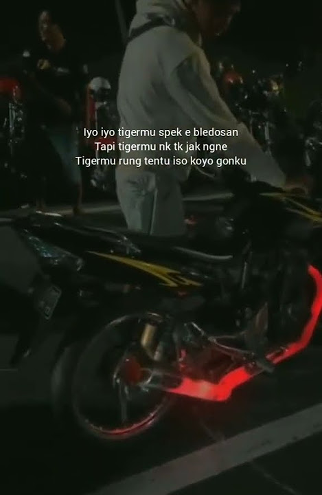 Story Wa Kata-kata Herex Tiger