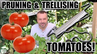 How to Prune Tomato Plants for More Fruit & Less Leaves. Plus How to Trellis Tomatoes.