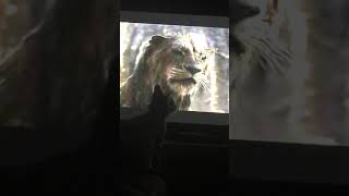 Cat watches Lion King live action