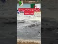 اخرا وين حبيت