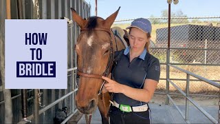 How to Bridle