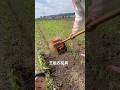 useful lawn tiller tool #farming #machine #shortvideo #youtubeshorts #funny #new #farm #useful