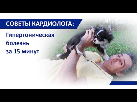 Советы кардиолога Сергиенко: Гипертоническая болезнь за 15 мин.