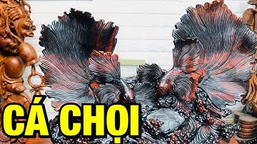 ĐÔI CÁ CHỌI.Gỗ Trắc đỏ đen vừa chất,vừa đẹp HÀNG SIÊU VIP. Lh:0389889968