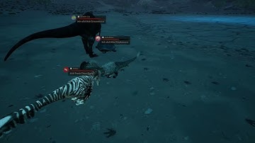 Apex Killers, first report