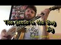 The geese in the bog jig irish tenor banjo music  shane farrell