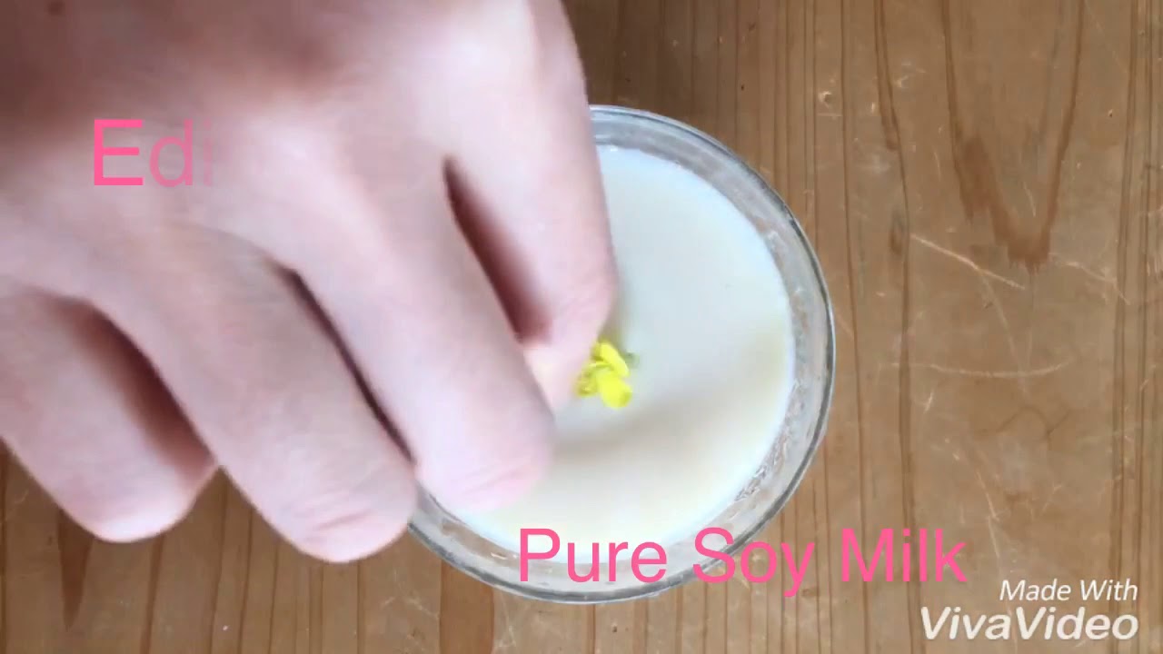 Homemade Soy Yogurt without Yogurt Maker YouTube