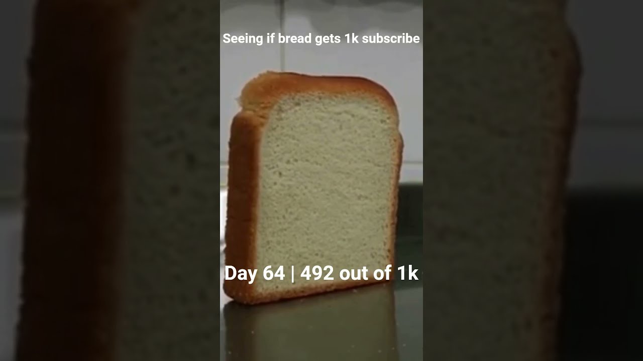 Bread Challenge Will We Reach 1K Subscribers Shorts YouTubeGrowth 1KSubscriber