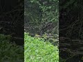 6 июня 2025 г.