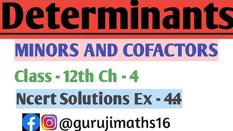 Exercise - 4.4 Full Ncert Solutions Determinants Class - 12th | Minors & Cofactors  Chapter - 4