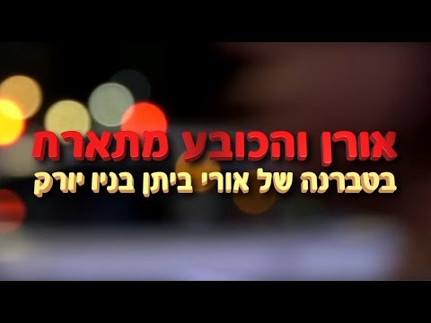 וִידֵאוֹ: מקרים מאושרים של שפעת כלבים H3N2 בברוקלין, ניו יורק