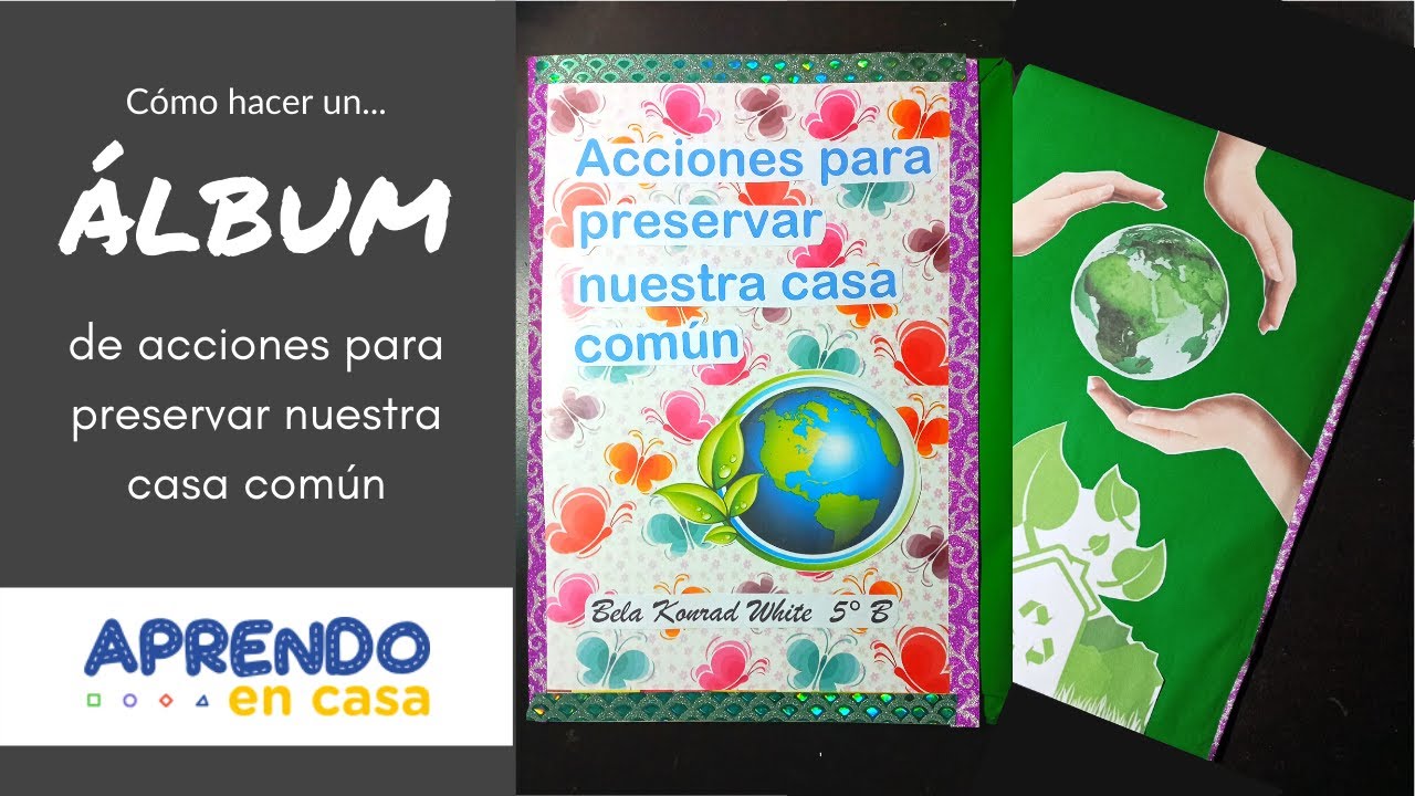 ¿Cómo hacer un ÁLBUM de acciones