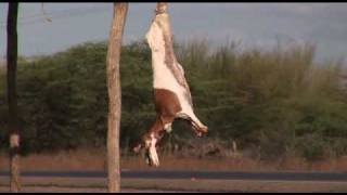 IDFA 2009 | Trailer | Story of a Day