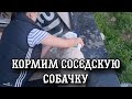 ЦЕНЫ НА ПРОДУКТЫ ПОДНИМАЮТСЯ МОЛНИЕНОСНО/ГОТОВИМ ВКУСНЫЙ УЖИН.