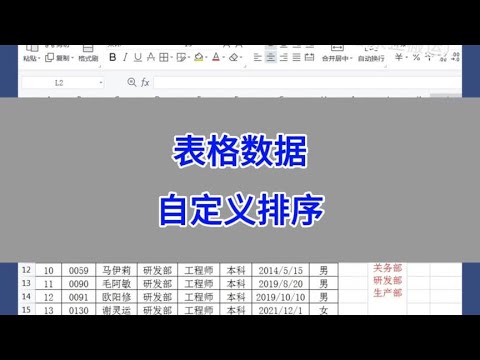 WPS Excel：表格数据，自定义排序。 #wps #excel #办公技巧