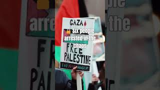 Brooklyn Synagogue Protest Turns Violent 😮