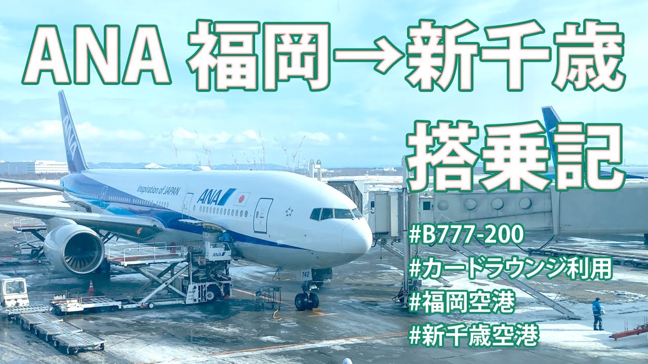 最新！送料無料￼￼ ANA国際線限定村尾6本セット 最新！送料無料￼￼ ANA国際線限定村尾6本セット