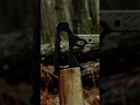 Dirt bike in the woods