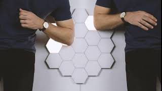 Famous Use any body part - Polygon Lights Net Worth