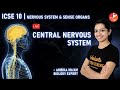 Nervous System and Sense Organs Class 10 L1 | Central Nervous System ICSE Biology | Vedantu Class 10