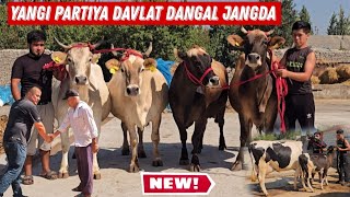 : Narx Aytish Mana Bunaqa Boladi Davlat Dangal Jangda Bugun Yorvordi Omaaa