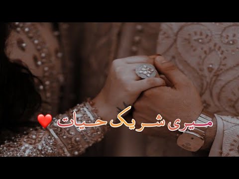 Meri Shareek E Hayyat | StoryNo.4