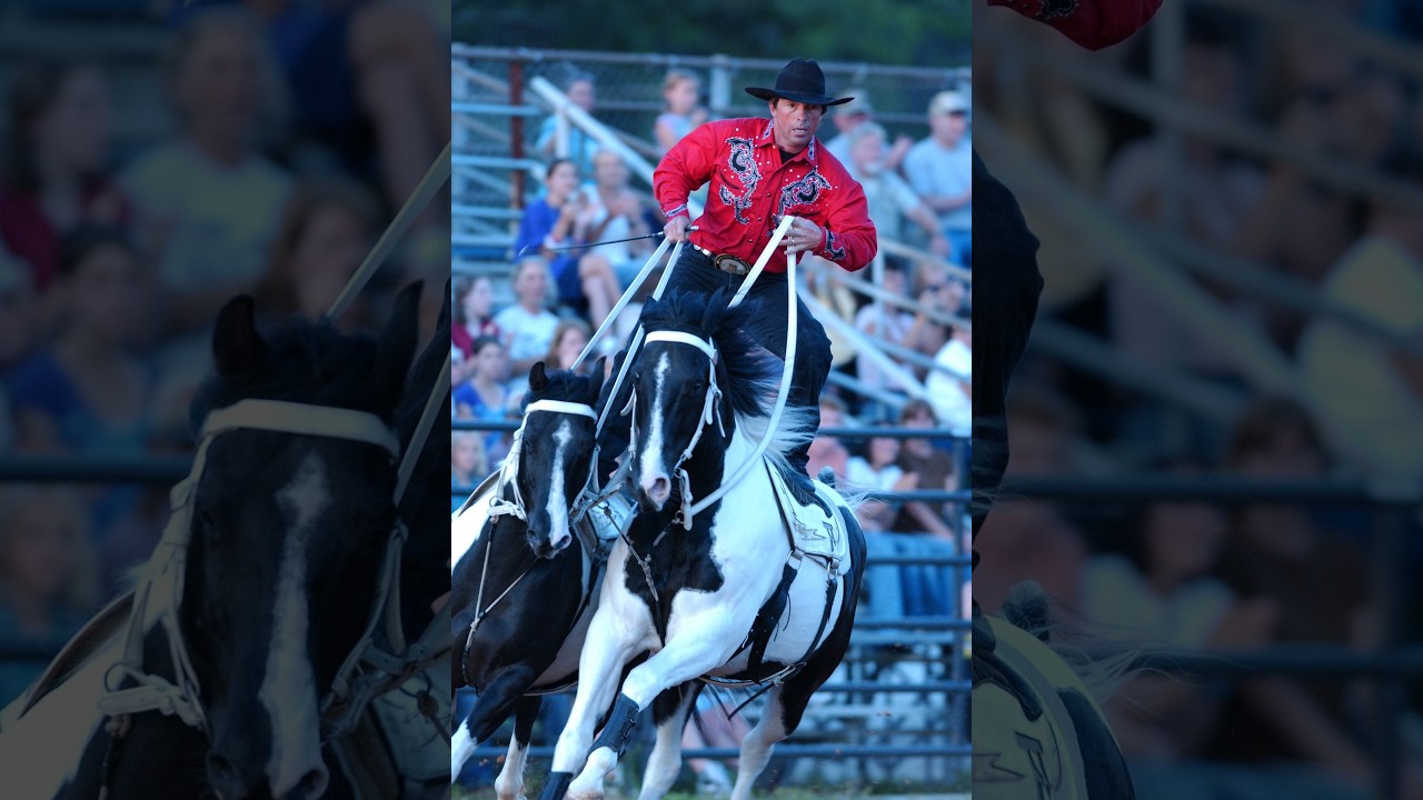 Roman Riding Impossible Tommie Turvey Extreme Roman Riding - YouTube