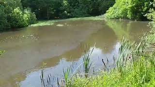 I Explore A Bit Of Hareskoven