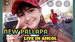 TULANG RUSUK - JIHAN AUDY - NEW PALLAPA LIVE ANCOL JAKARTA - Full Tawuran